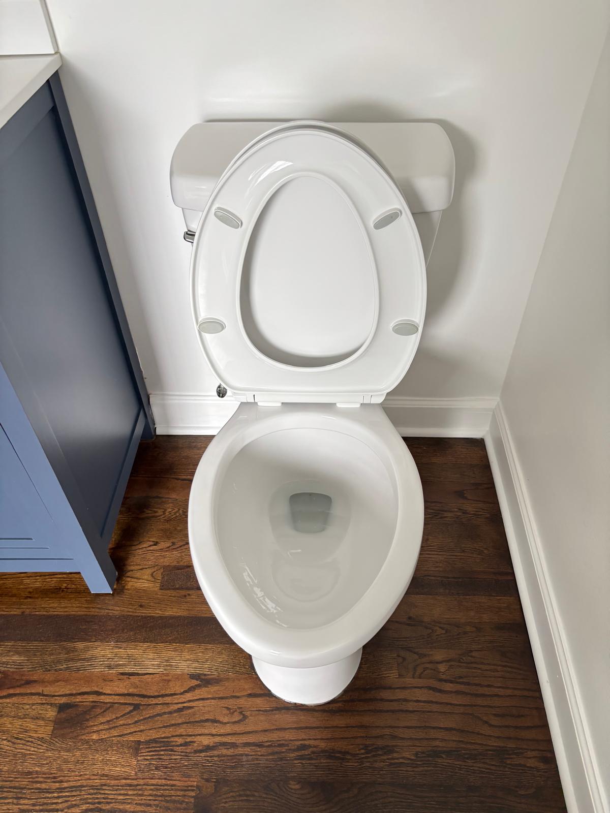 The same toilet after cleaning